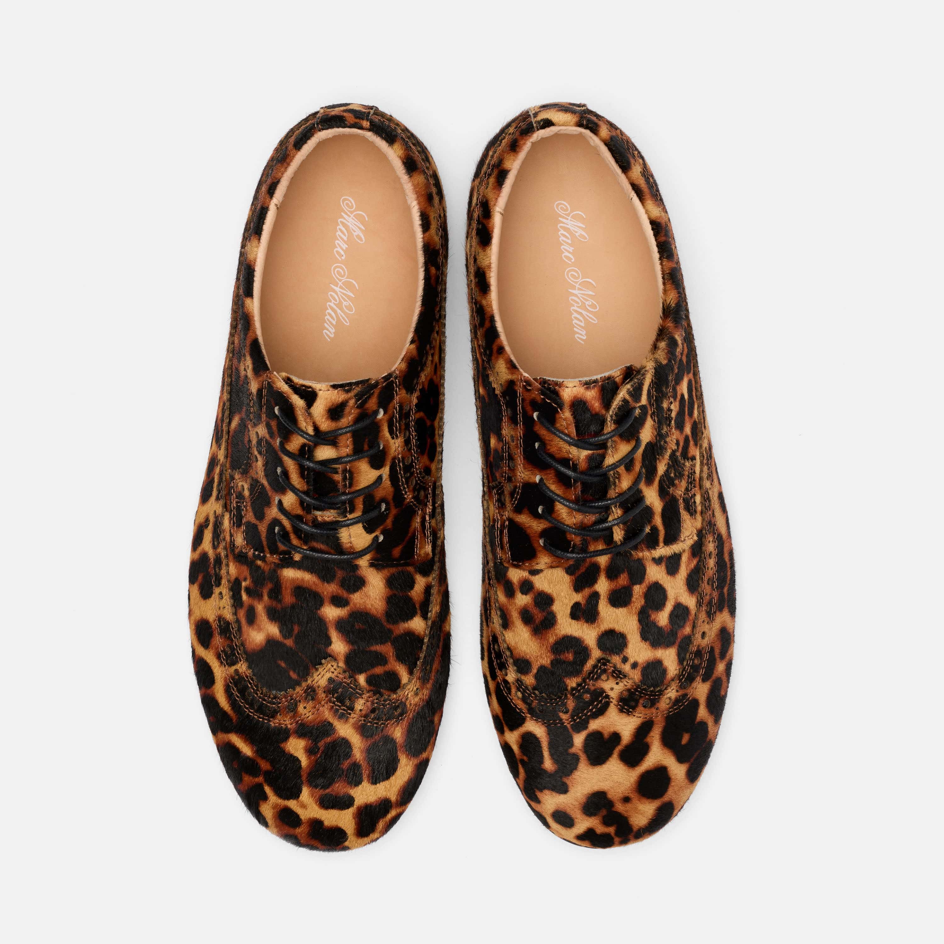 Alexander Leopard Suede Ballerina Longwing Sneakers