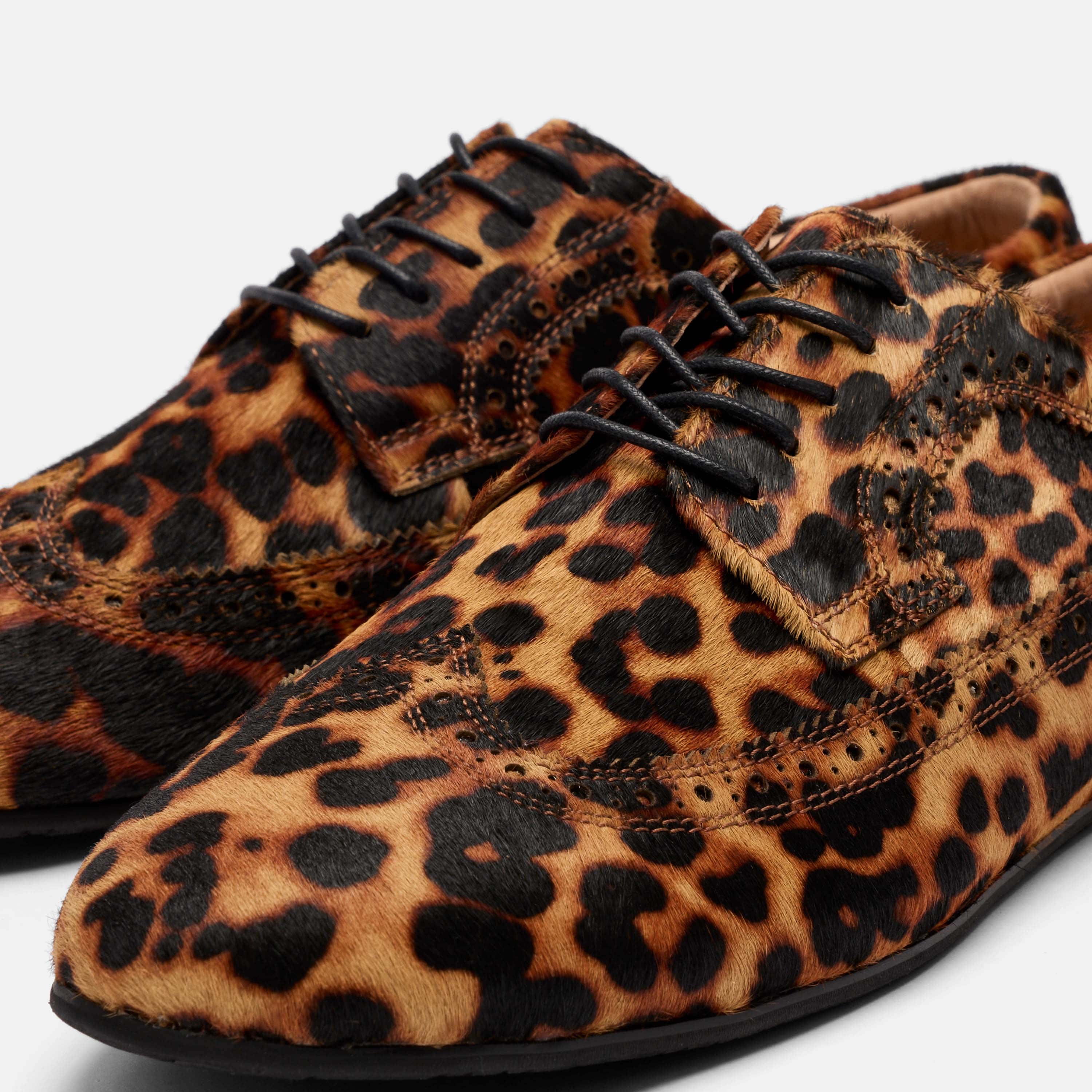 Alexander Leopard Suede Ballerina Longwing Sneakers