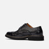 Roman Black Croc Leather Wingtip Sneakers