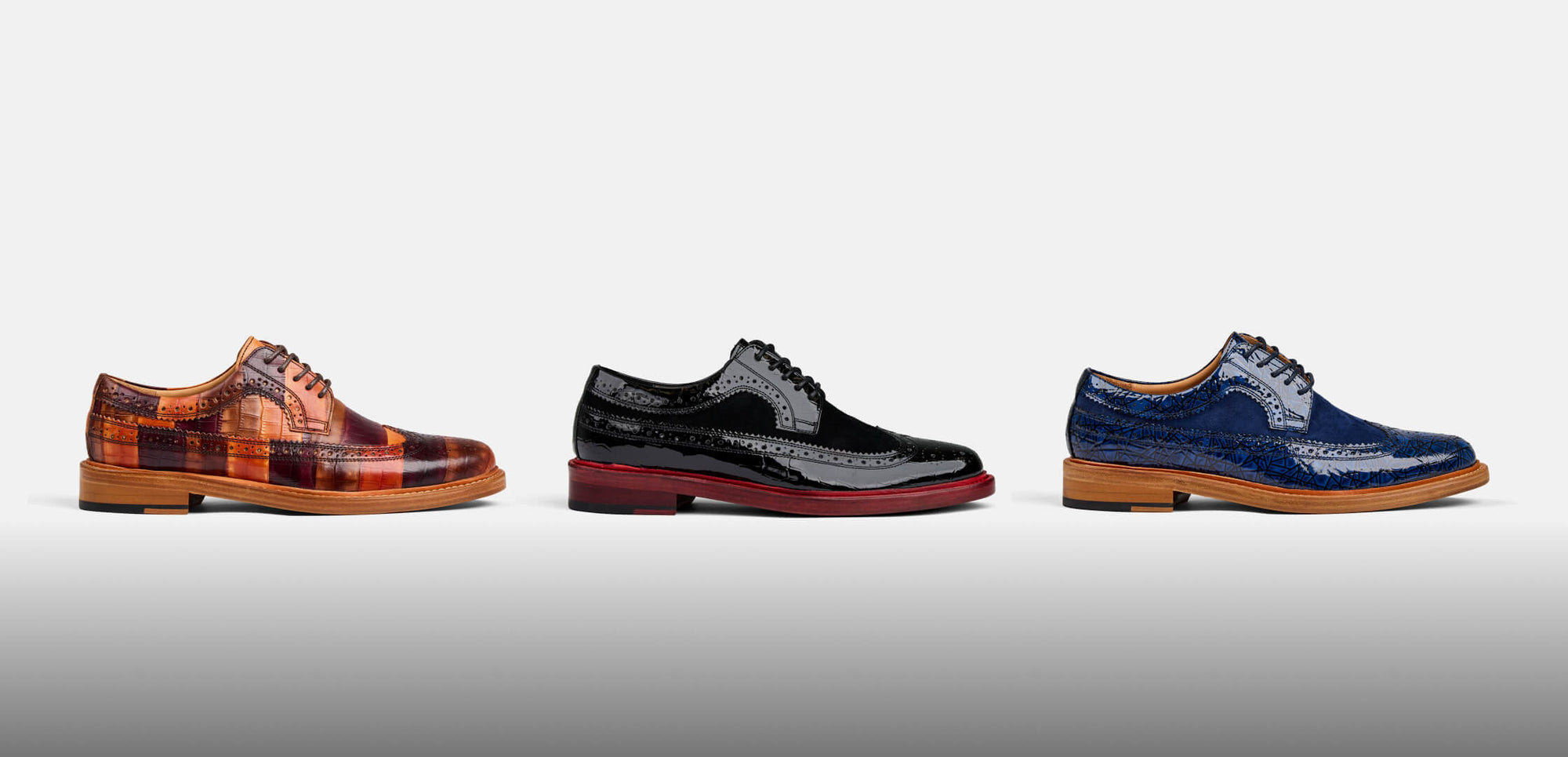 Alexander Longwings