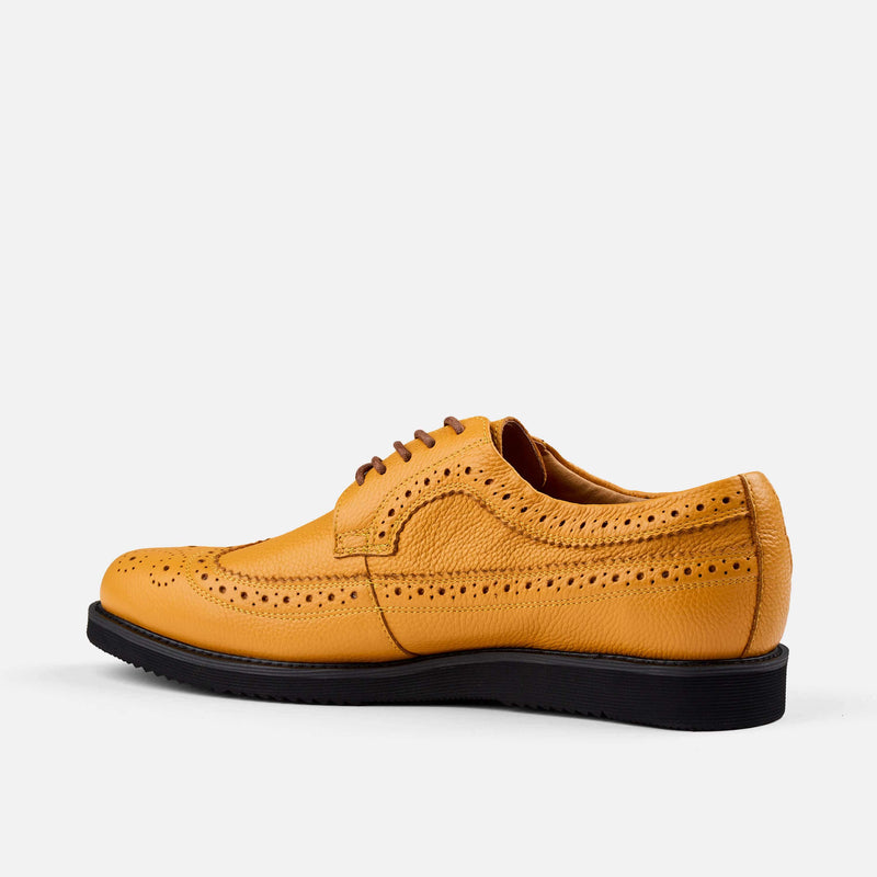 Alexander Yellow/Black Leather Longwing Sneakers - Marc Nolan